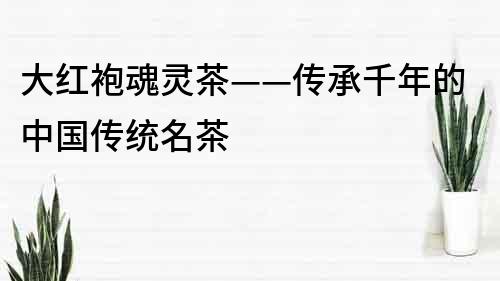 大红袍魂灵茶——传承千年的中国传统名茶