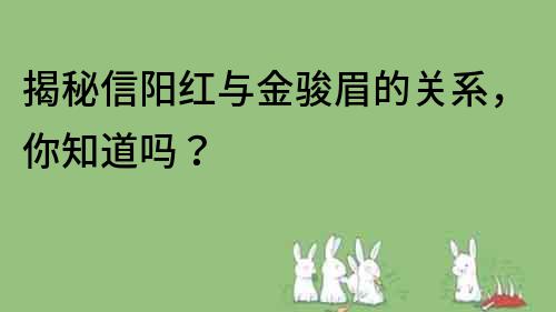 揭秘信阳红与金骏眉的关系，你知道吗？