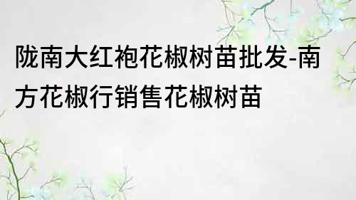 陇南大红袍花椒树苗批发-南方花椒行销售花椒树苗