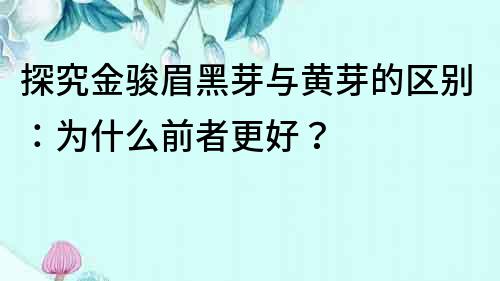 探究金骏眉黑芽与黄芽的区别：为什么前者更好？