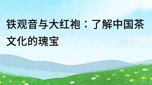 铁观音与大红袍：了解中国茶文化的瑰宝