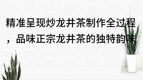 精准呈现炒龙井茶制作全过程，品味正宗龙井茶的独特韵味