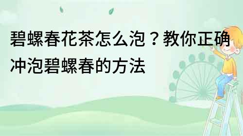 碧螺春花茶怎么泡？教你正确冲泡碧螺春的方法