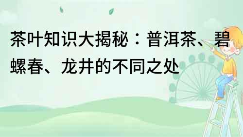 茶叶知识大揭秘：普洱茶、碧螺春、龙井的不同之处