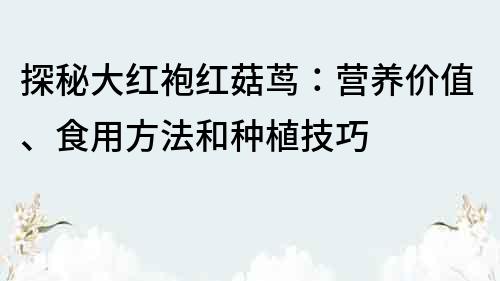 探秘大红袍红菇茑：营养价值、食用方法和种植技巧