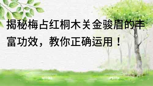 揭秘梅占红桐木关金骏眉的丰富功效，教你正确运用！