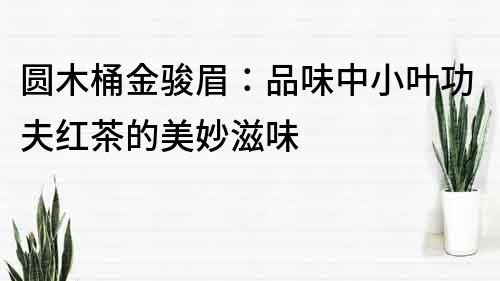 圆木桶金骏眉：品味中小叶功夫红茶的美妙滋味