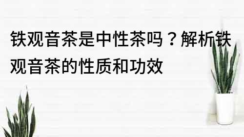 铁观音茶是中性茶吗？解析铁观音茶的性质和功效