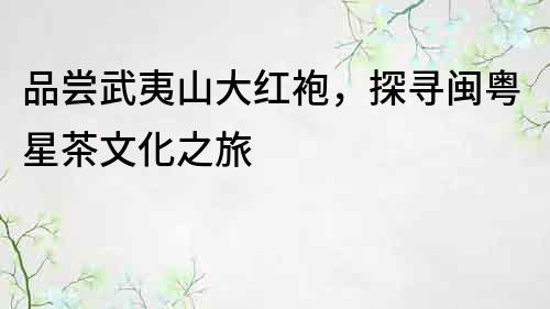 品尝武夷山大红袍，探寻闽粤星茶文化之旅