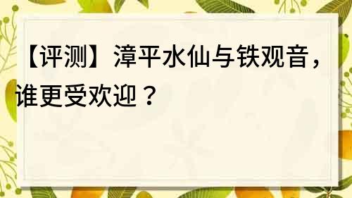 【评测】漳平水仙与铁观音，谁更受欢迎？