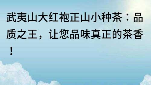 武夷山大红袍正山小种茶：品质之王，让您品味真正的茶香！