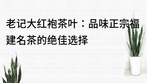 老记大红袍茶叶：品味正宗福建名茶的绝佳选择