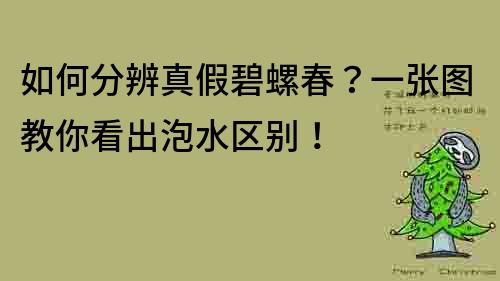 如何分辨真假碧螺春？一张图教你看出泡水区别！