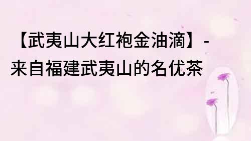 【武夷山大红袍金油滴】- 来自福建武夷山的名优茶