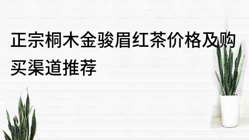 正宗桐木金骏眉红茶价格及购买渠道推荐