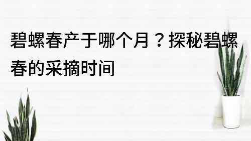 碧螺春产于哪个月？探秘碧螺春的采摘时间