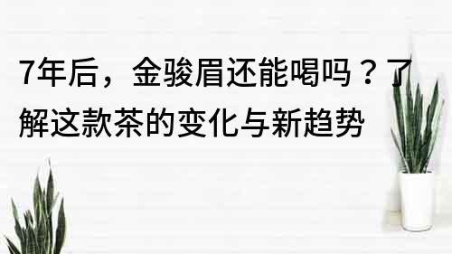 7年后，金骏眉还能喝吗？了解这款茶的变化与新趋势