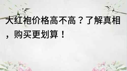 大红袍价格高不高？了解真相，购买更划算！