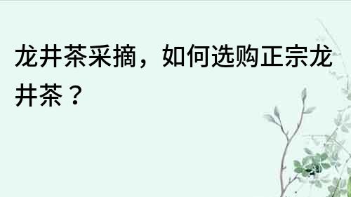 龙井茶采摘，如何选购正宗龙井茶？