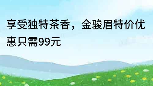 享受独特茶香，金骏眉特价优惠只需99元