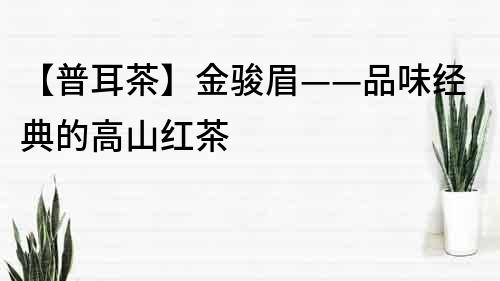 【普耳茶】金骏眉——品味经典的高山红茶