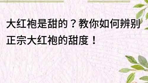 大红袍是甜的？教你如何辨别正宗大红袍的甜度！