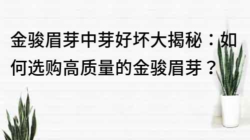 金骏眉芽中芽好坏大揭秘：如何选购高质量的金骏眉芽？