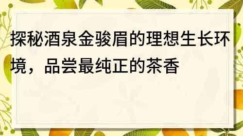 探秘酒泉金骏眉的理想生长环境，品尝最纯正的茶香