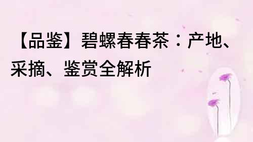 【品鉴】碧螺春春茶：产地、采摘、鉴赏全解析