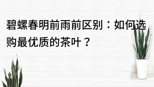 碧螺春明前雨前区别：如何选购最优质的茶叶？