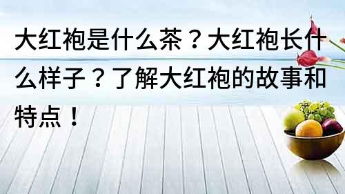 大红袍是什么茶？大红袍长什么样子？了解大红袍的故事和特点！