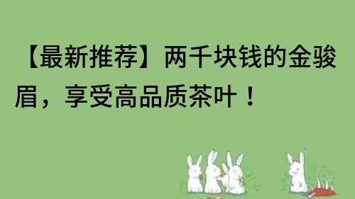 【最新推荐】两千块钱的金骏眉，享受高品质茶叶！