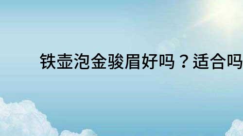 铁壶泡金骏眉好吗？适合吗？