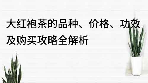 大红袍茶的品种、价格、功效及购买攻略全解析