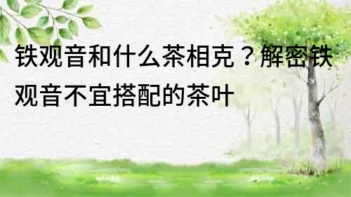 铁观音和什么茶相克？解密铁观音不宜搭配的茶叶