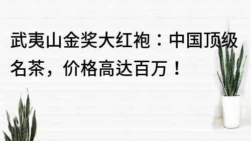 武夷山金奖大红袍：中国顶级名茶，价格高达百万！