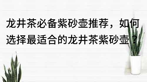 龙井茶必备紫砂壶推荐，如何选择最适合的龙井茶紫砂壶？