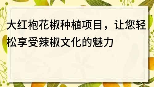 大红袍花椒种植项目，让您轻松享受辣椒文化的魅力