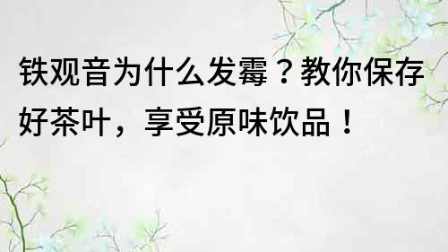 铁观音为什么发霉？教你保存好茶叶，享受原味饮品！