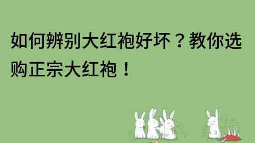 如何辨别大红袍好坏？教你选购正宗大红袍！