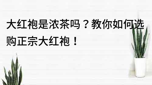 大红袍是浓茶吗？教你如何选购正宗大红袍！