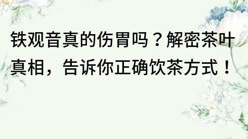 铁观音真的伤胃吗？解密茶叶真相，告诉你正确饮茶方式！