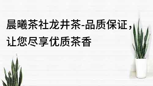 晨曦茶社龙井茶-品质保证，让您尽享优质茶香