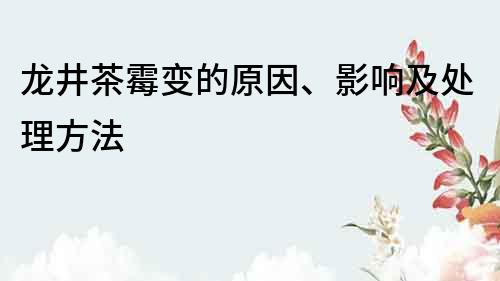 龙井茶霉变的原因、影响及处理方法