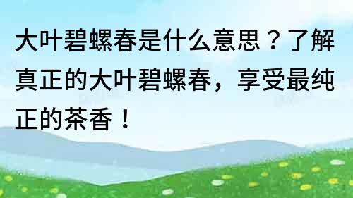 大叶碧螺春是什么意思？了解真正的大叶碧螺春，享受最纯正的茶香！