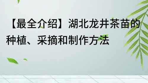 【最全介绍】湖北龙井茶苗的种植、采摘和制作方法