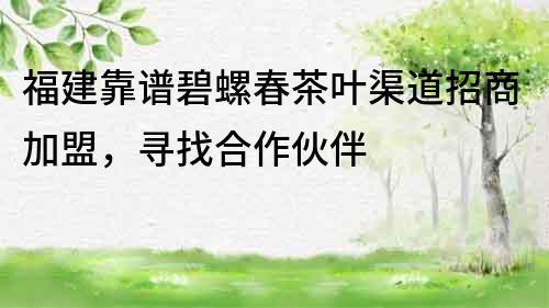 福建靠谱碧螺春茶叶渠道招商加盟，寻找合作伙伴