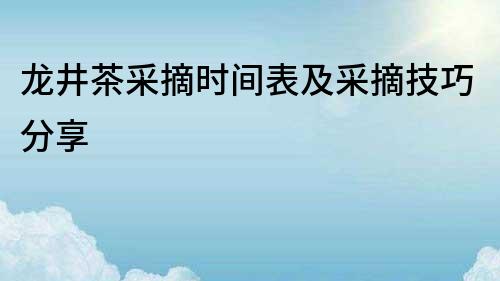 龙井茶采摘时间表及采摘技巧分享