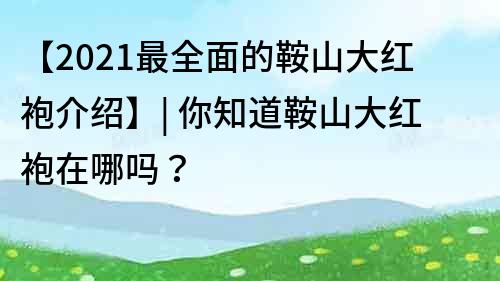 【2021最全面的鞍山大红袍介绍】| 你知道鞍山大红袍在哪吗？