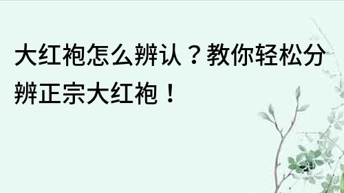 大红袍怎么辨认？教你轻松分辨正宗大红袍！